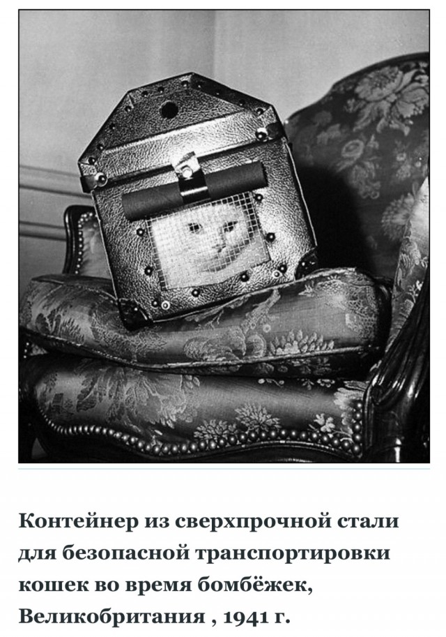 Редкие кадры и архивные снимки 20.08.25