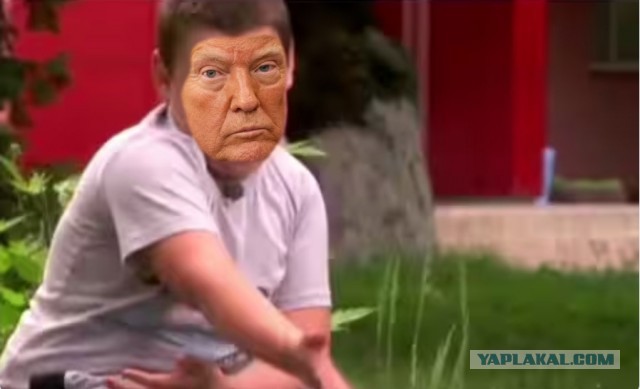 Похоже, мы их потеряли