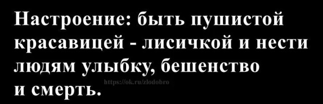 Картинки для деградации 45 (разной степени свежести)