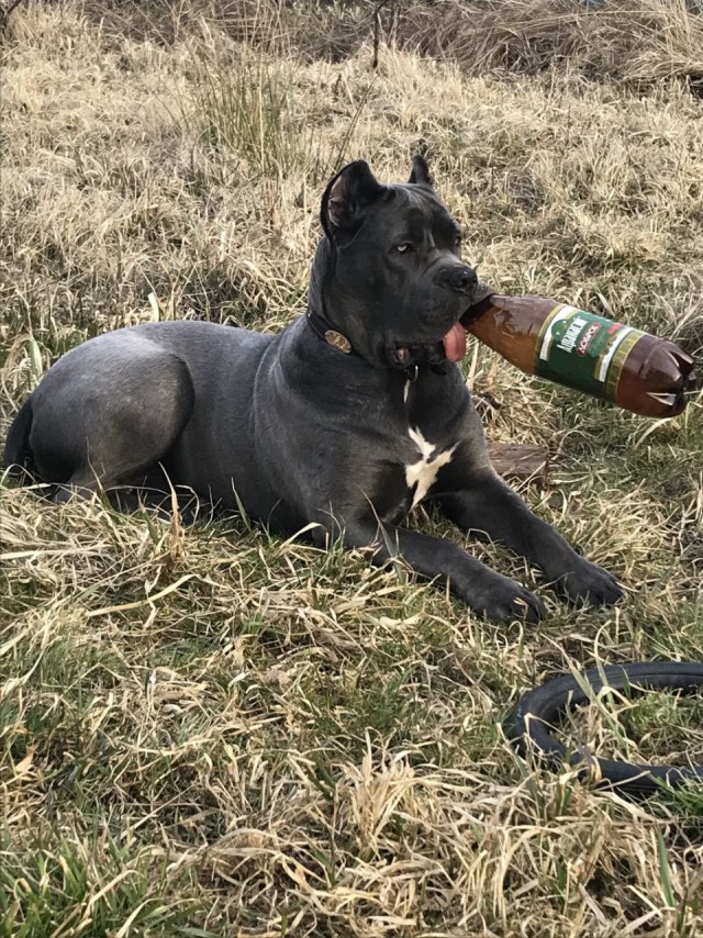 Жители избушки