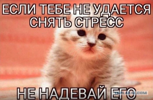 Веселые картинки в понедельник (13.10)