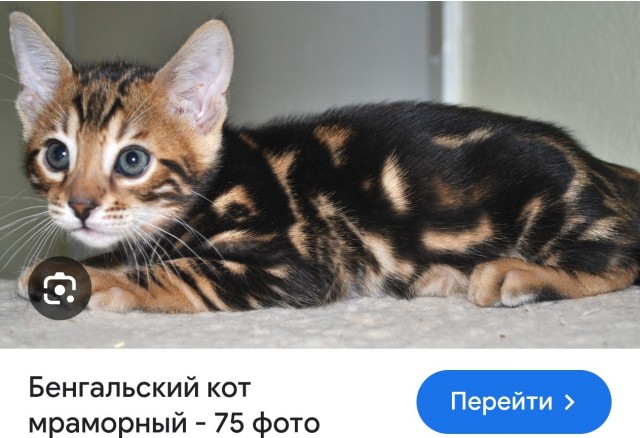 Раб выбран
