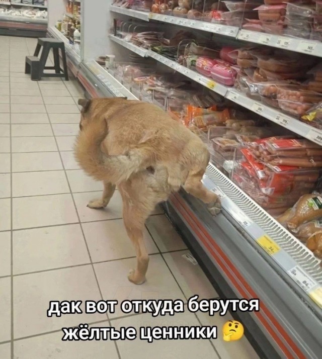 Картинки для деградации 72 (разной степени свежести)