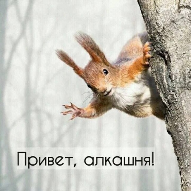 Вы — устойчивый пьяница, если пьете 2 раза в неделю