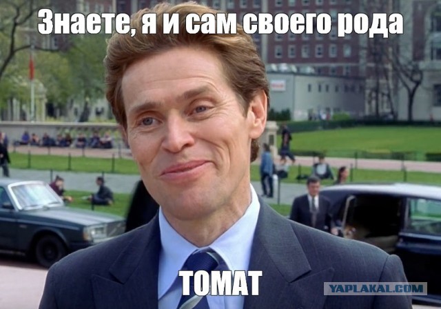 Томаты как хороший алкоголь