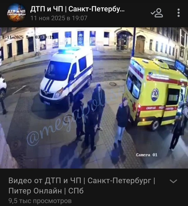 Массовая драка посетителей бара на Рубинштейна