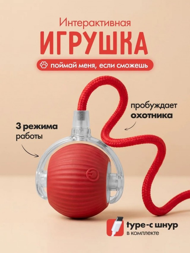 Главное попытка