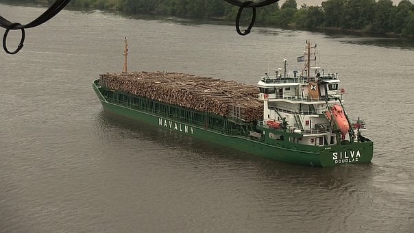 Срочно в номер! Найден "Кировлес"!