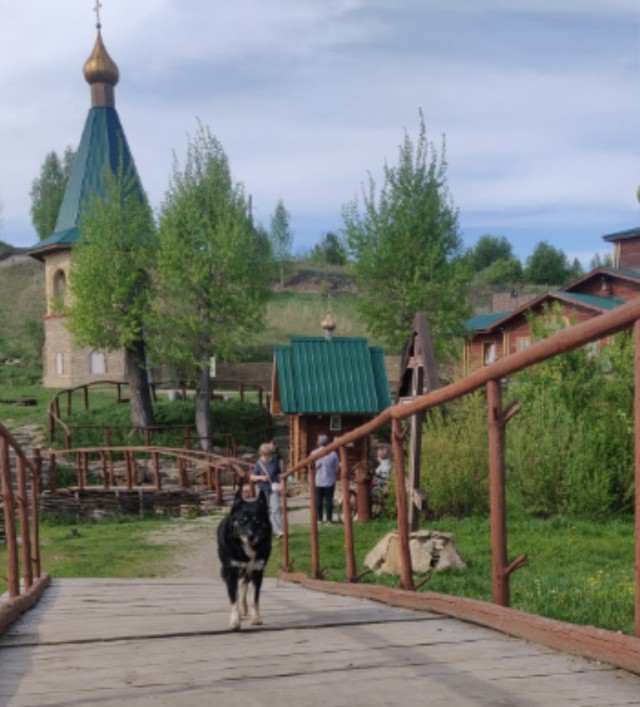 В свете последних событий