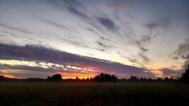 Одно фото