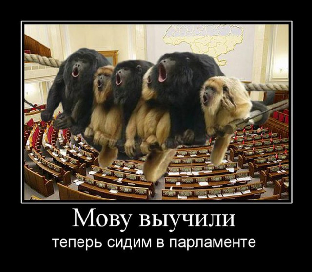 Вот что бывает если обвинять человека