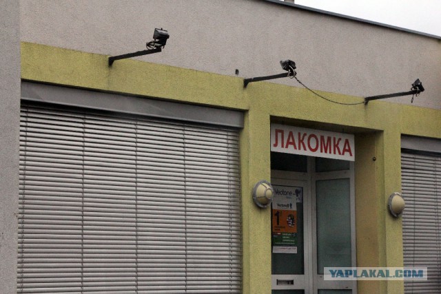 Свадебный подарок