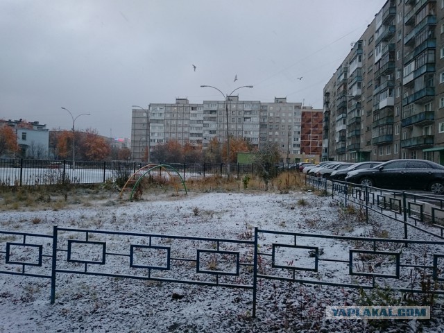 Сибирь матушка! а что у вас за окном?