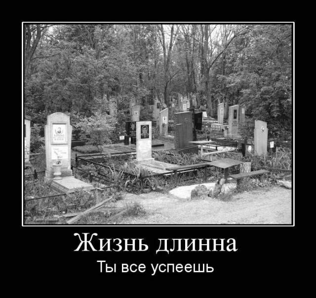 Горячие демотиваторы