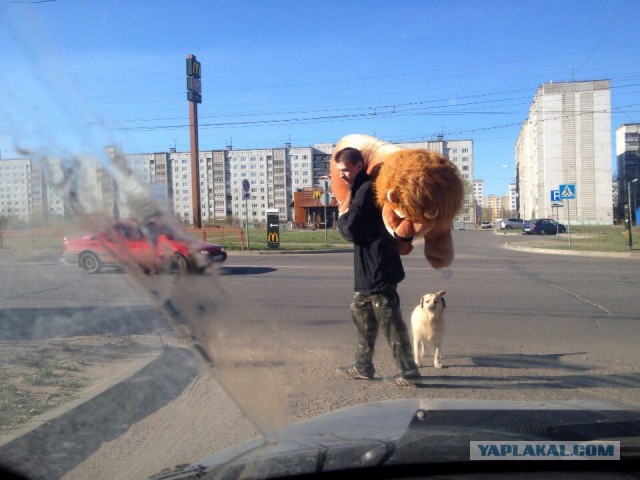 Девушку на наших глазах запихали в кузов!