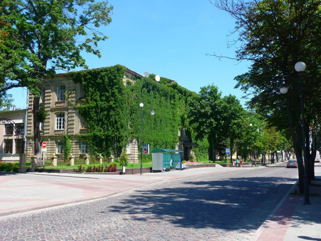 Несвижский замок