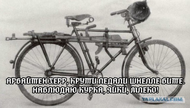 Немецкие противотанковые ружья PZB-38