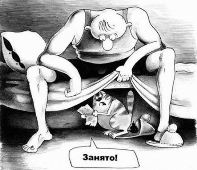 Мой пригрелся и уснул