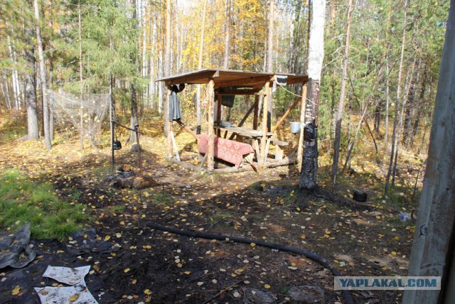 Как я провёл эти выходные