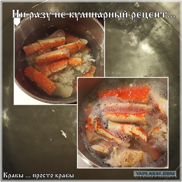 Крабы … просто крабы