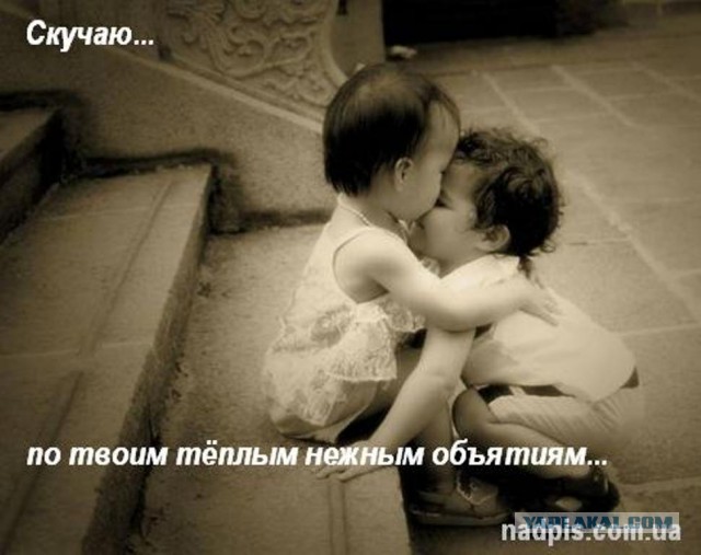 Подборка смешных и забавных фото