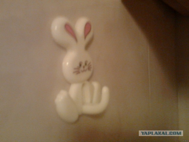 Они живые. Они смотрят на нас!