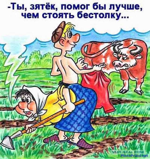 Тёща обрезала мои полторахи из под пива на рассаду