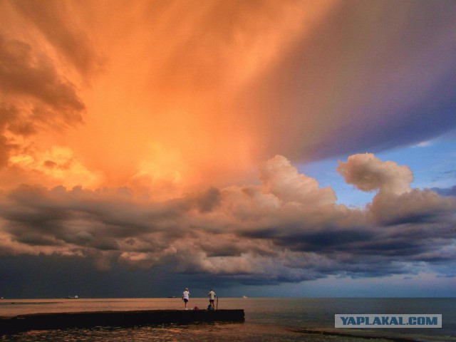 Живу у моря