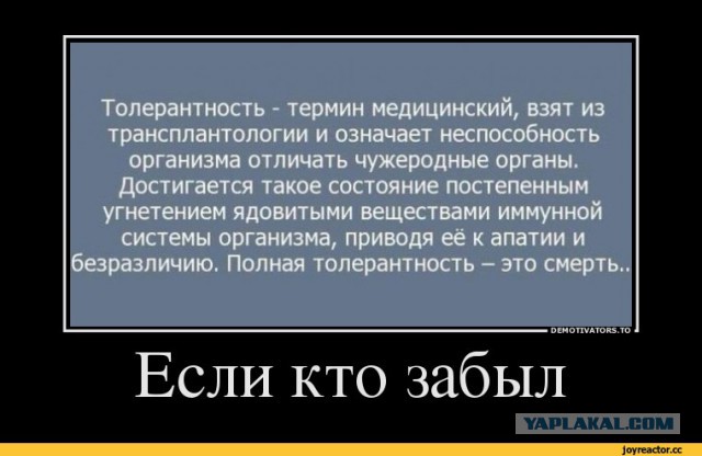 Об Англии без цензуры и розовых очков