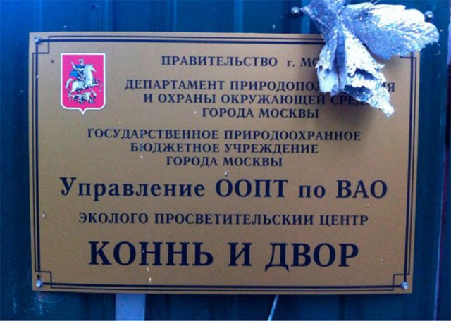 Пятничные ерундушки