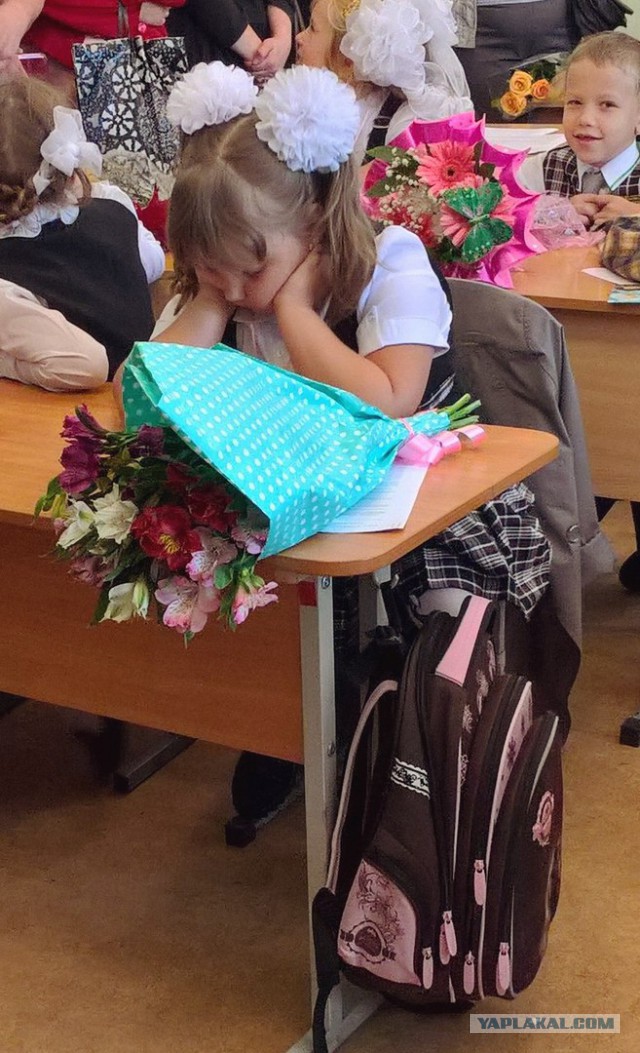 Когда сразу понял, что школа это ....