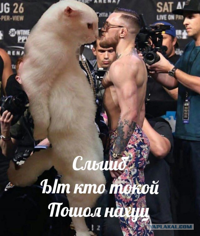 Доколе, я вас спрашиваю?