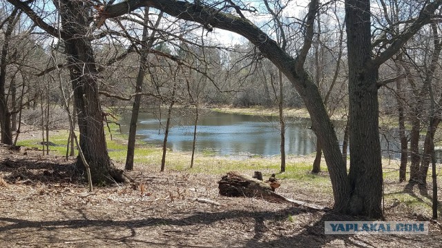 Просто Природа