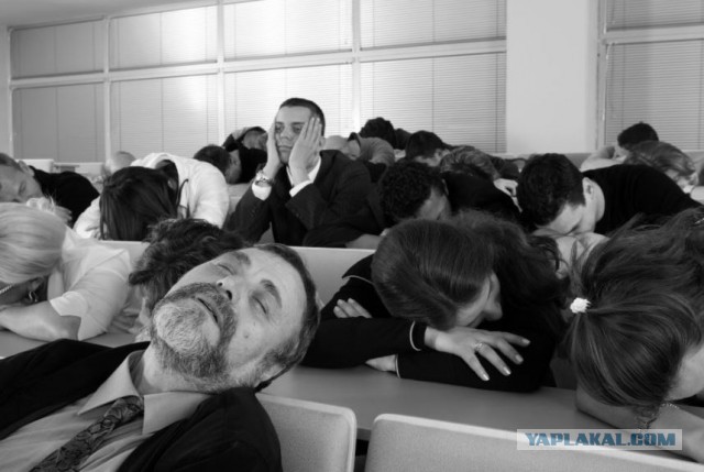 Немного веселых картинок для пятничного настроения
