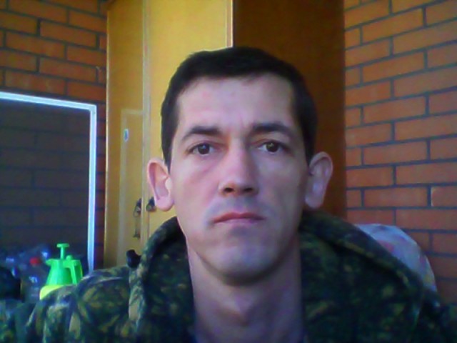Итоги проверки пользователей