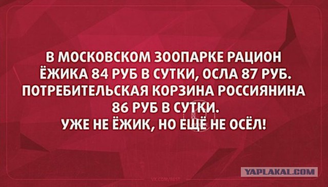 "Не умеют копить": глава Центробанка назвала главную проблему бедных пенсионеров