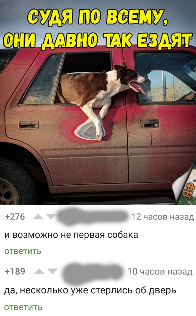 Нестандартный юмор