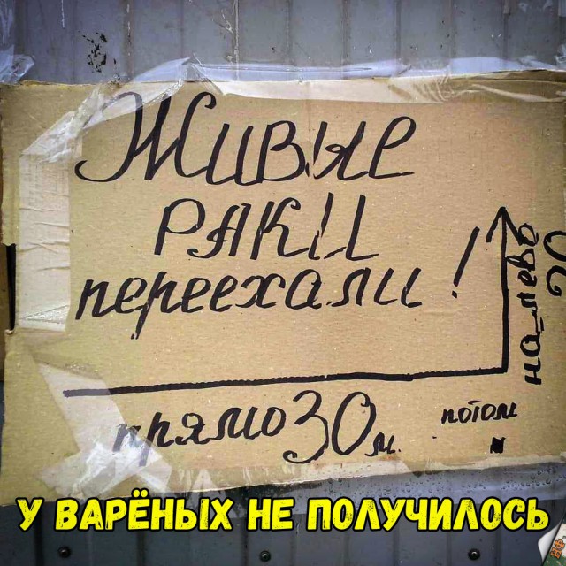 Нестандартный юмор