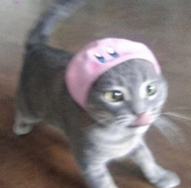 Котофеев пост