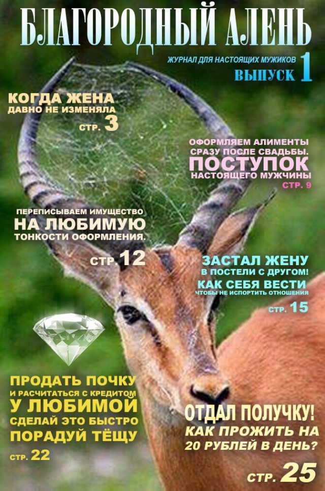 Студентка уехала кататься на яхте с российским бизнесменом и пропала