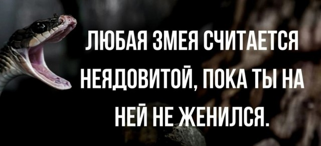 Юмор в картинках 17.11.20