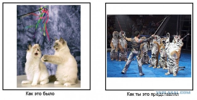 Как это было