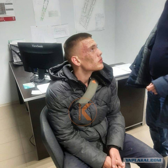 В Краснодаре подросток ударил битой по голове женщину за замечание, чтобы те не ломали деревья
