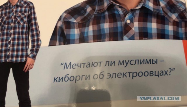 Биомусор на дорогах Н.Новгорода
