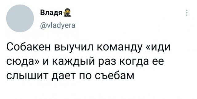 Картинки и мемы для настроения 025