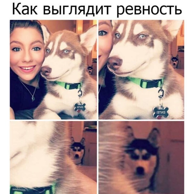Весёлый полтишок 6.06