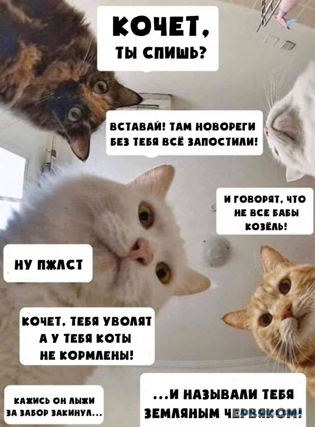 Отомстила