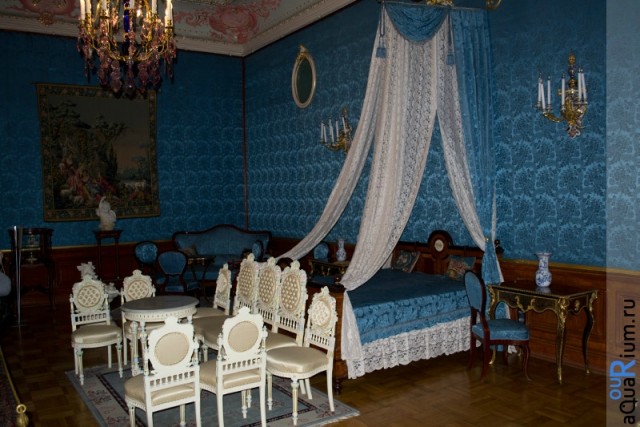 СПб глазами уставшего туриста...