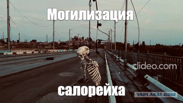 Илон Маск продолжает троллить Украину в Twitter