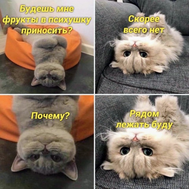 Картинки и мемы для настроения - 119